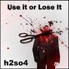 Use It or Lose It (Banshee Mix) - H2SO4