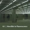 Horrible in Fluorescence - 浔南