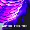 Why Do I Feel This - Mr. Sid&Choujaa