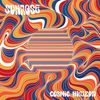 Spinning Around - Sunrose