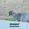 Whereof Excrescence - Sachio