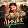 Nyasha Dzinokwana - Fungisai Zvakavapano Mashavave