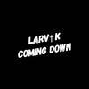 Coming Down - Larvik