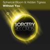 Without You (Original Mix) - Spherical Bloom&Hidden Tigress