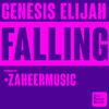 Falling (Remix) - Genesis Elijah&Zaheer
