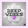 Haywire (Remix) - Sascha Sonido