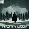 Through the Snowstorm - LIHO