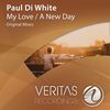 A New Day (Original Mix) - Paul Di White