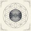 New World - Cereus