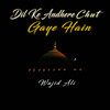 Dil Ke Andhere Chut Gaye Hain - Wajid Ali