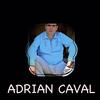 Am Fost Unde Am Crescut - Adrian Caval