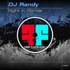 Night In Florida - DJ Randy