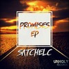 Forgotten(feat. the New Shoes) - Satchel C