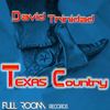 Texas Country (Original Mix) - David Trinidad