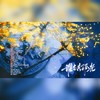 谁与共孤光（纯歌版）——《二哈和他的白猫师尊》《余污》联动同人曲 - 眠泱&云天&云三&茶师&落炎Royin&柚怎么了