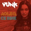 Aoleo, ce bine! - Vunk