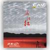 丁香花 - 唐磊