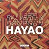 Hayao (纯音乐|Original Mix) - Ralvero&Dropgun