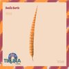 Wepa - Soulis Sarris