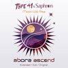 Moon Will Rise (Extended Mix) - Type 41&Saphron