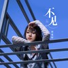 不见 - 何曼婷
