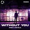 Without You - Pasc&Revelz&Philipp Walluks&Patrick Schmidt