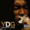 Interview (口白) - YDG