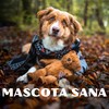 LADRIDOS DE AMOR - Mascota