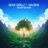 The Way We Were - Bear Grillz&HALIENE