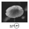 Rebirth (Manuel Meyer) - Stephan Zovsky&FiveP