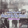 Blame It On The Streets (Explicit) - Bluejaywangteam&SPB Newborn