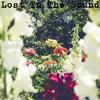 Lost In The Sound - Pycorns