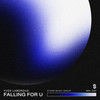 Falling For U - Yves Labordus