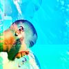 The Lakers (Explicit) - Narvo No Cutz