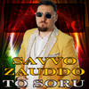 To soru - Savvo Zauddo