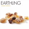 Beans of Light - Earthling
