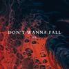 Don't Wanna Fall - BSK