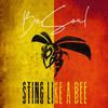 Sompisi - Beesoul