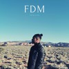 FDM - Erwann&Green Money