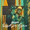 Qysh Pe Lojna (Explicit) - Skizz