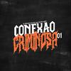 Conexao Criminosa 001(feat. Dj PH MPC) - DJ RENAN DA BL&DJ PH Mpc