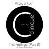 The Feelings - Vitaly Shturm