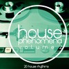 Blue Lemon (Martin Grace's House Mix) - Carl Shuster