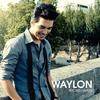 Wicked Way - Waylon