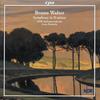 IV. Agitato - NDR Symphony Orchestra&Leon Botstein