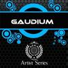 Crush My Bit - Gaudium