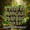 Must Remember - Critycal Dub&MadRush MC