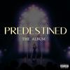 Do Me Like That(feat. Shantrell, Davonte Skillz, Tim, Mariah & Keisha) - Predestined Tv Series&Shantrell&Davonte Skillz&Tim&Mariah&Keisha