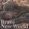 Brave New World (feat. 赵宇） - 磊落