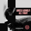 All I Want - Angelo Adinolfi